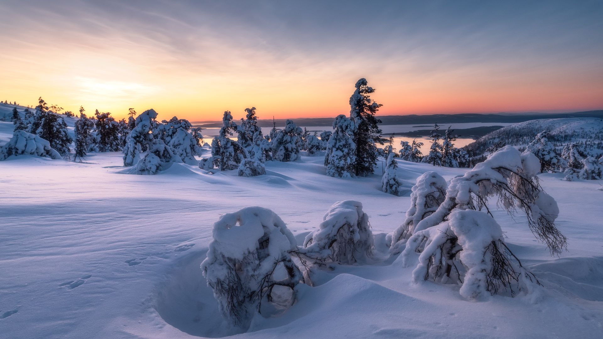 Trip To Lapland