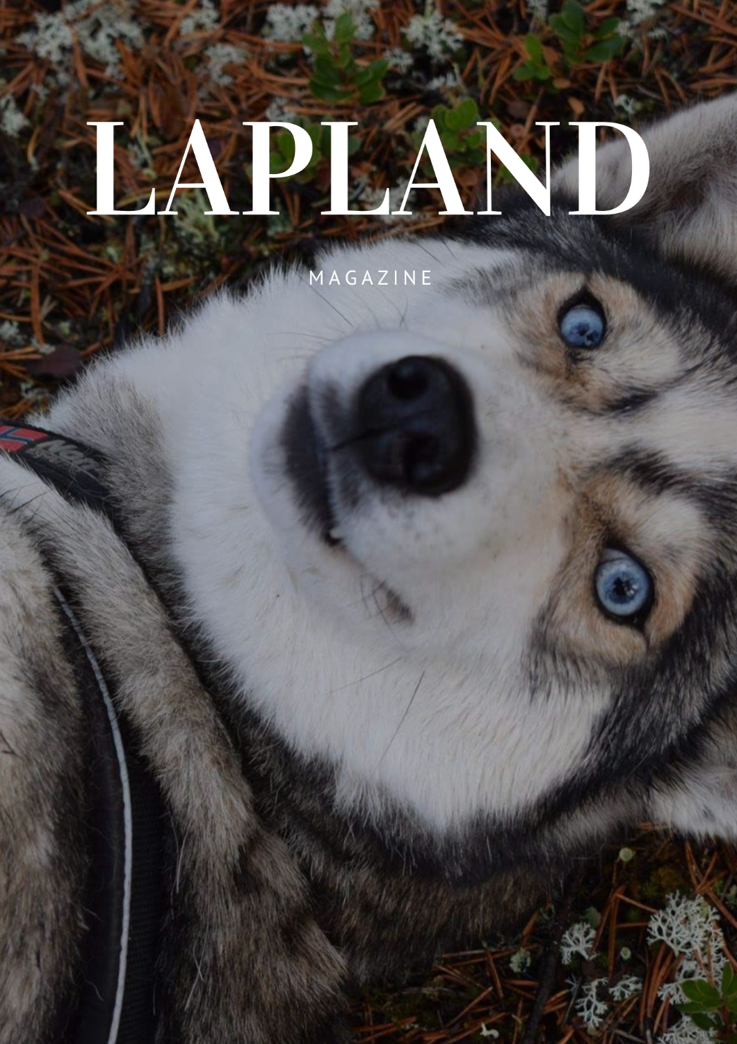 HUSKY HIKE & NATURE-Inari