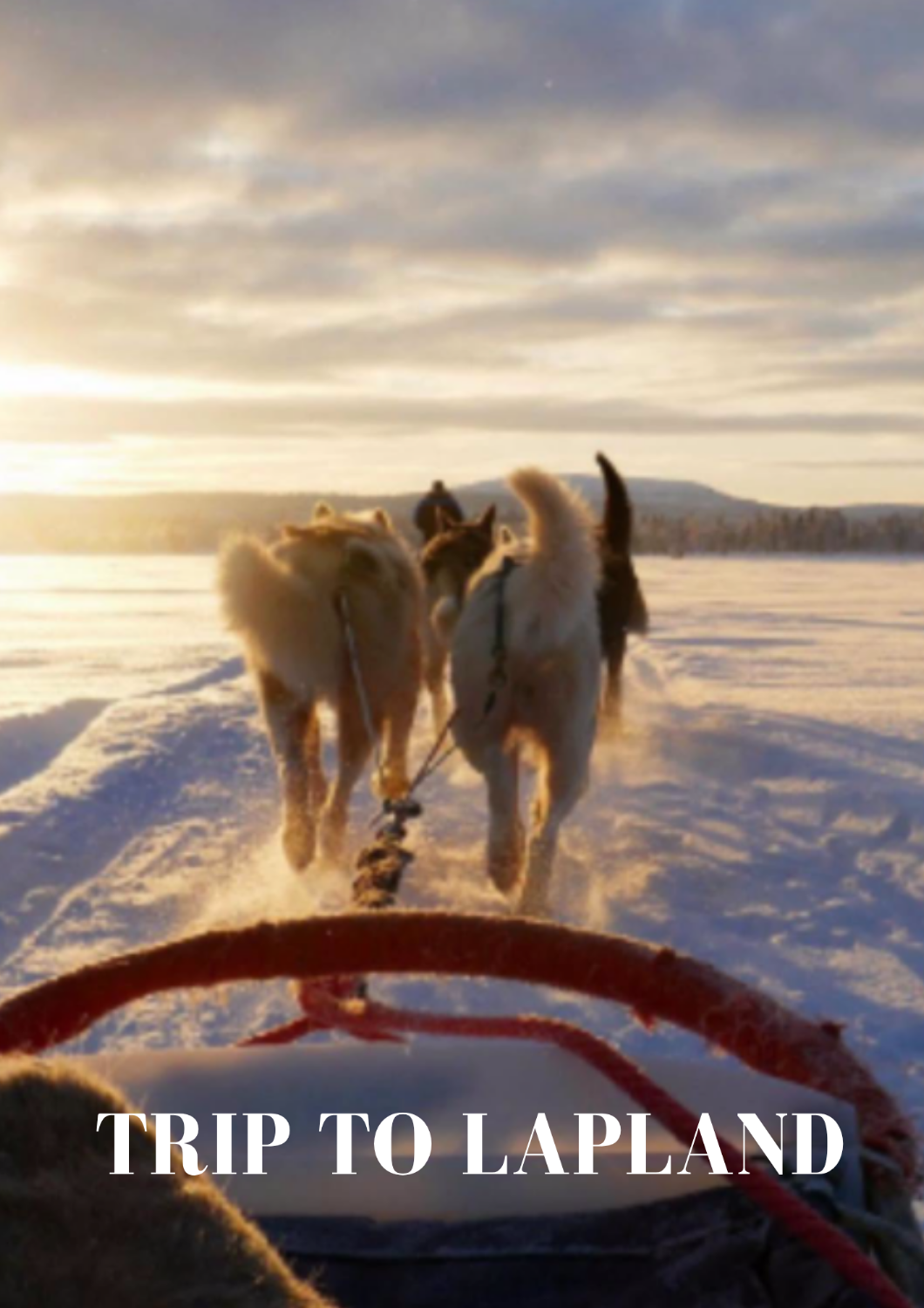 Snowmobile trip, Husky Safari, Snowshoeing -Inari
