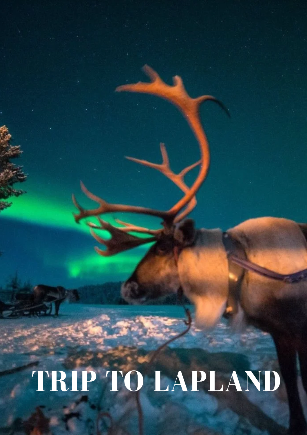 Authentic Eastern Lapland Calls